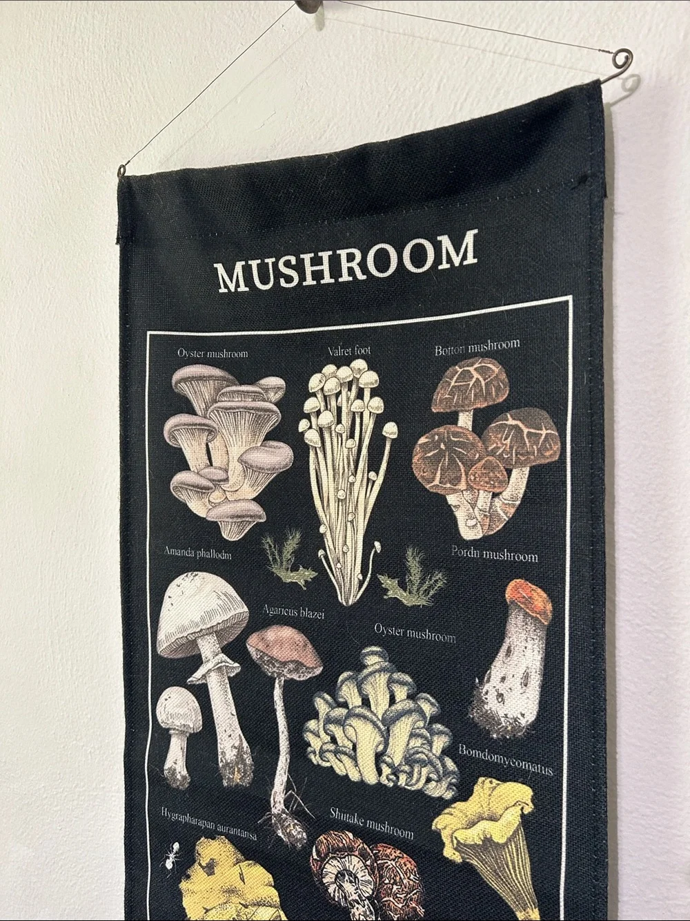 N/A printed mushroom